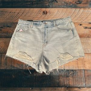 Highest Rise Cutoff Shorts